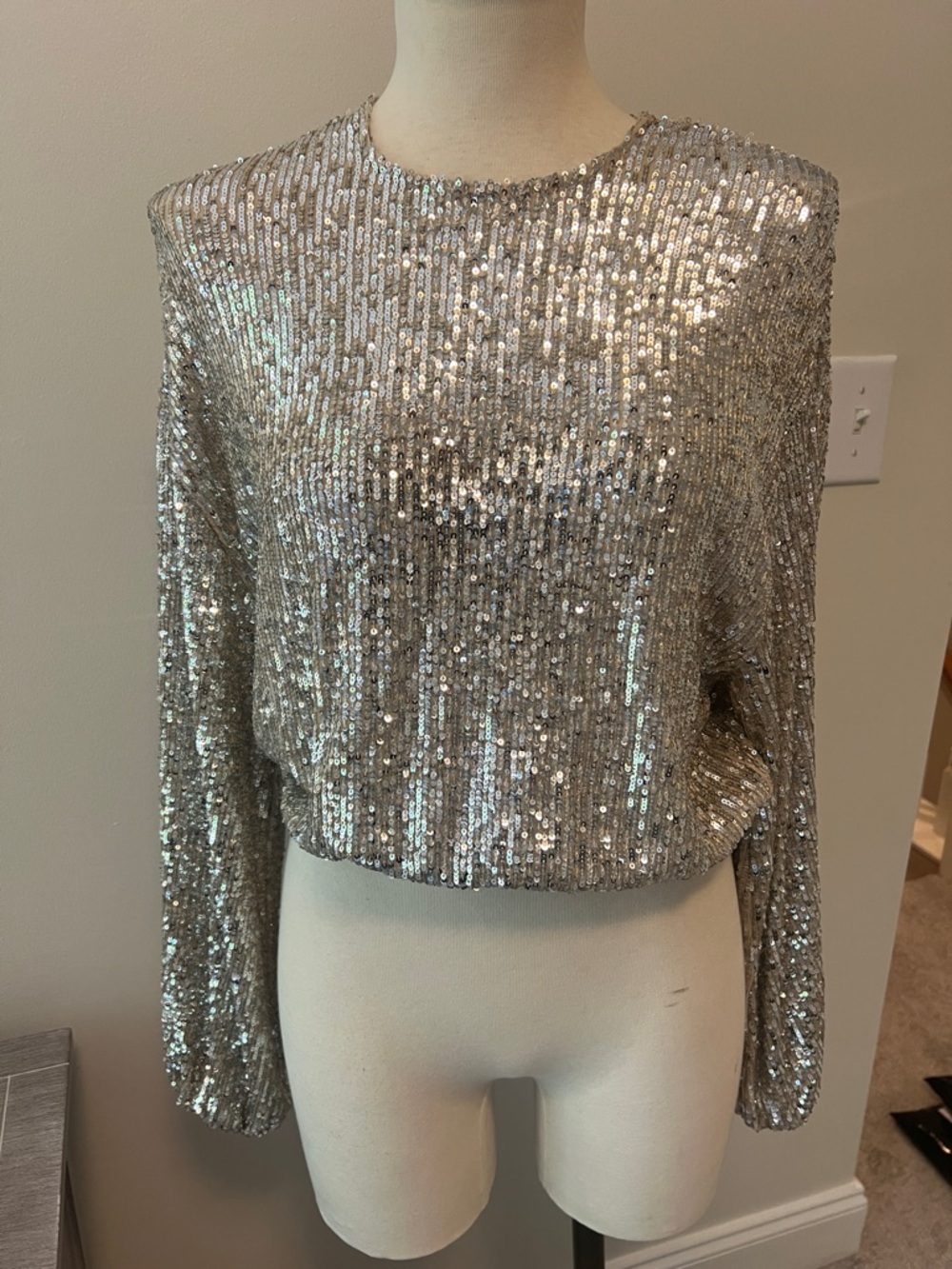 Show Me Your MuMu Silver Sequin Long Sleeve Crop Sweatshirt